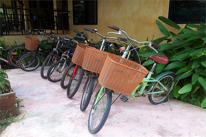 ingnatee cycling
